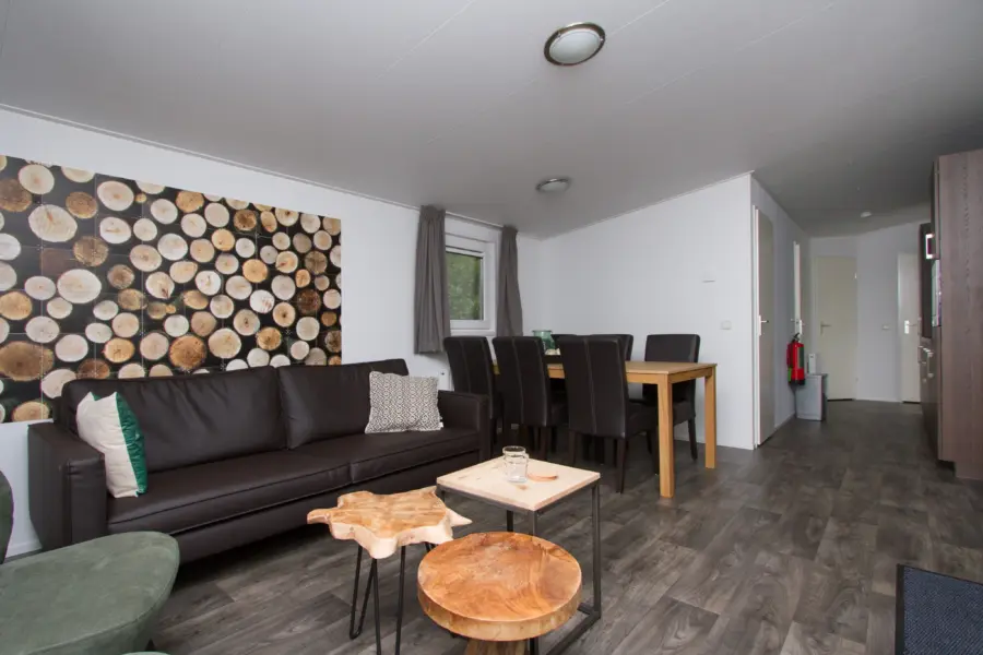 Woonkamer chalet met overdekt terras