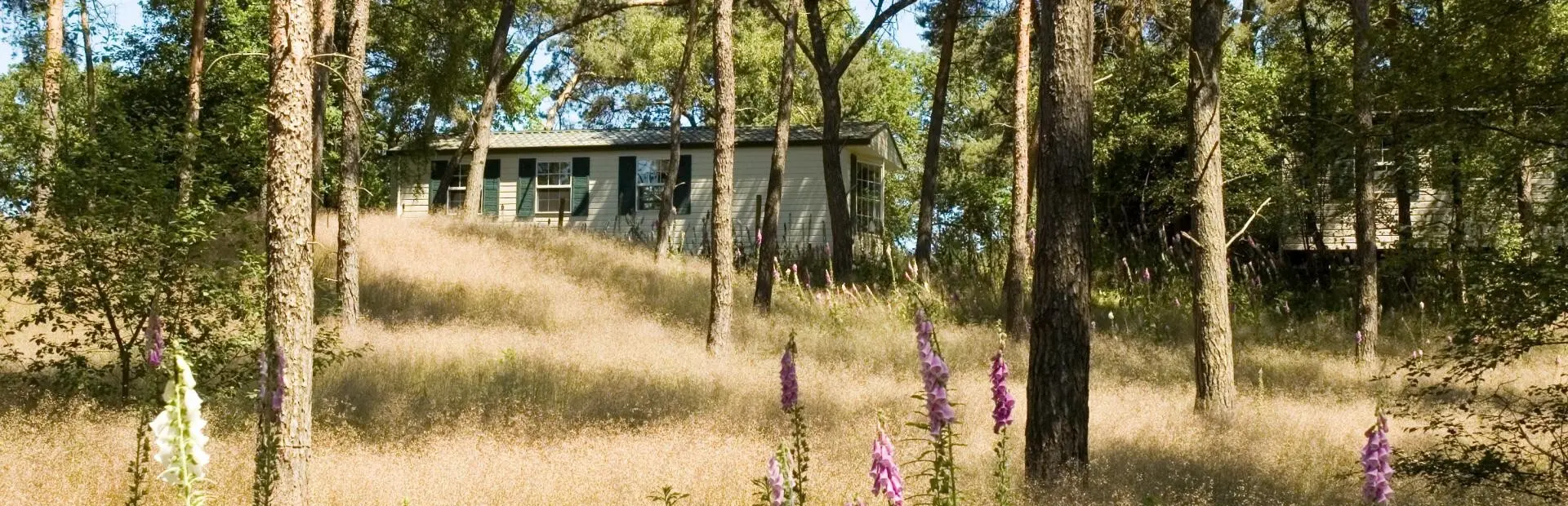 Header eigen buitenverblijf