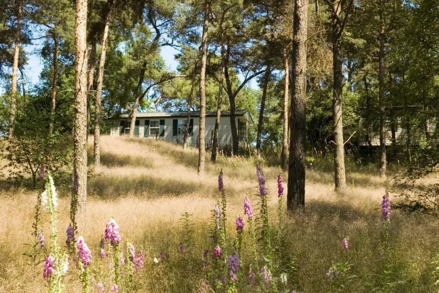 Header eigen buitenverblijf