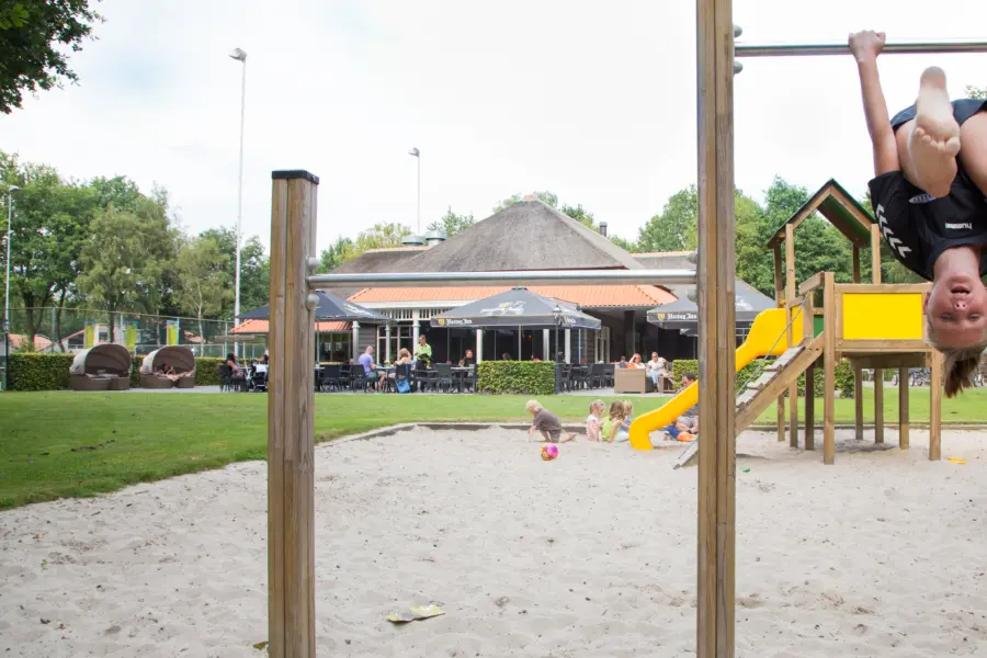 Speeltuinfoto Heksenboom