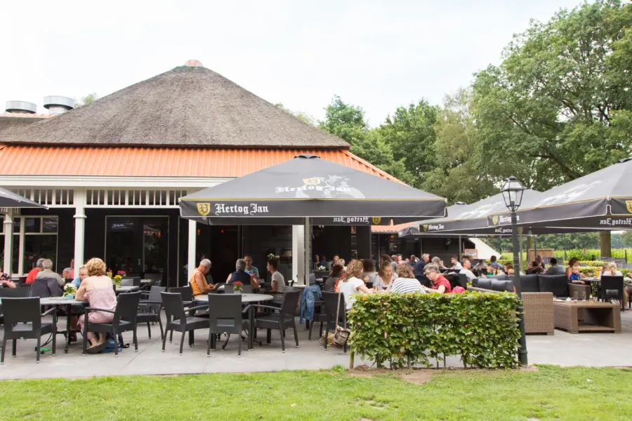 Terras Heksenboom