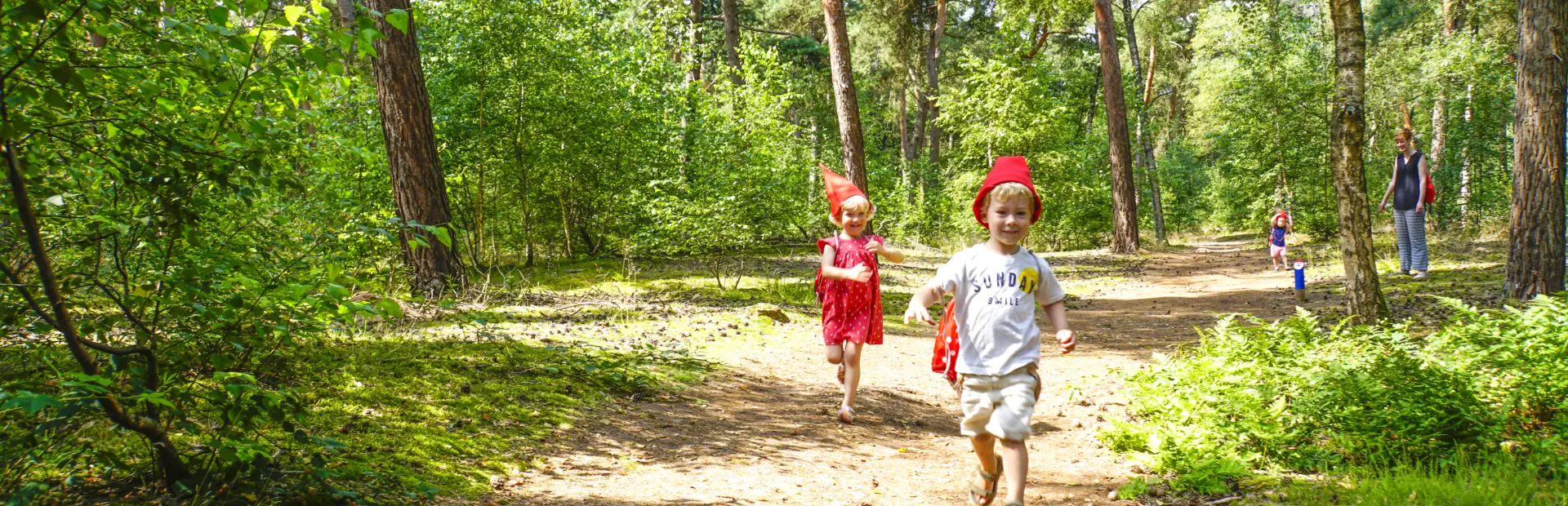 Kabouterpad ullingse bergen