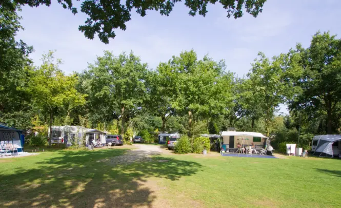 zon en schaduw veldje