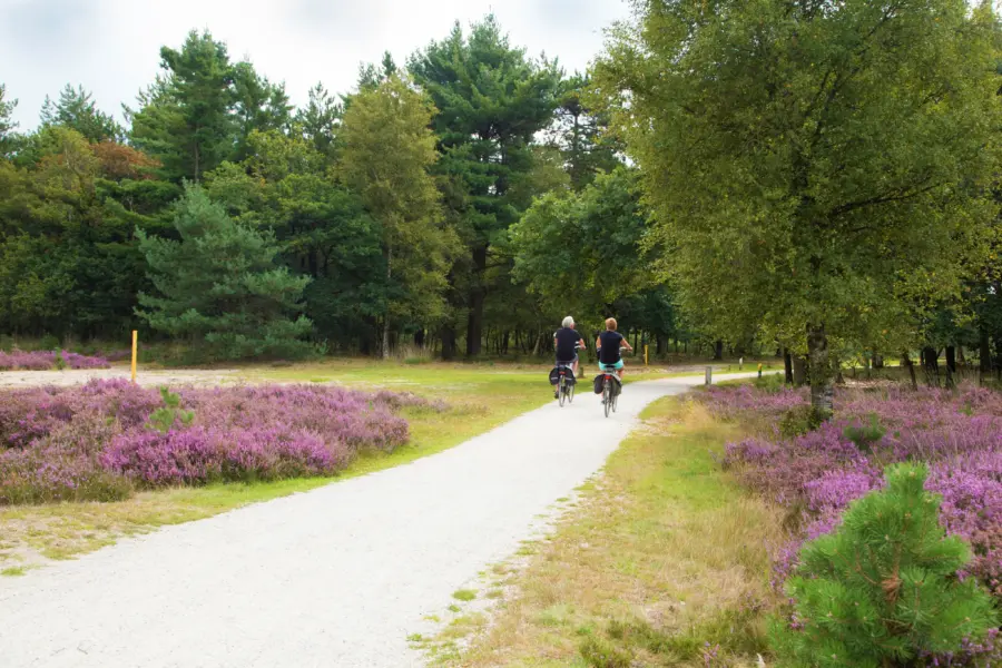 bewerkt Fietsen op de hei