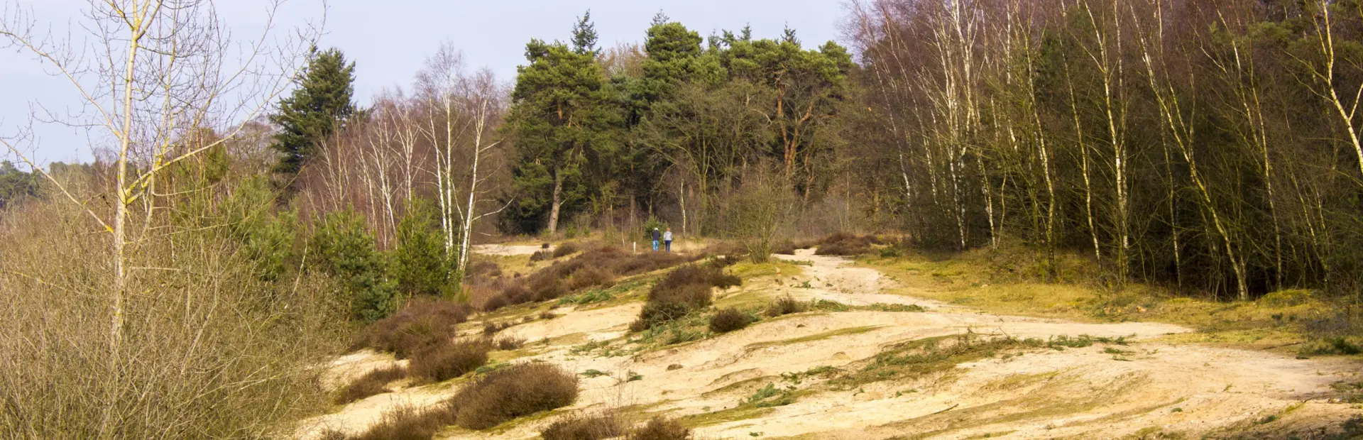 Maasduinen deposit