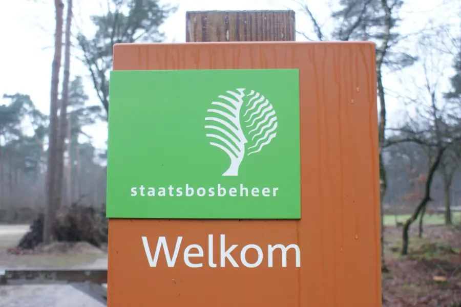 Saatsbosbeheer