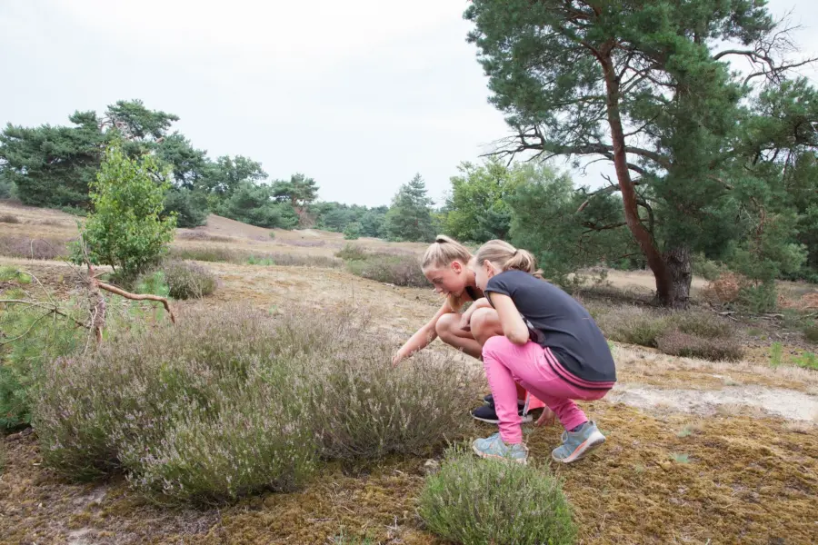 Speuren in de natuur