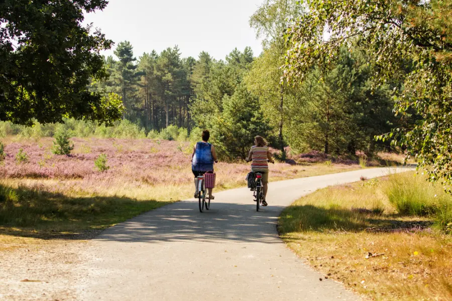 Fietsen streek Brabant