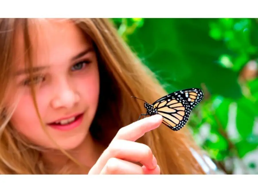 5da55f34 5bff 4632 a782 6488dc638b59