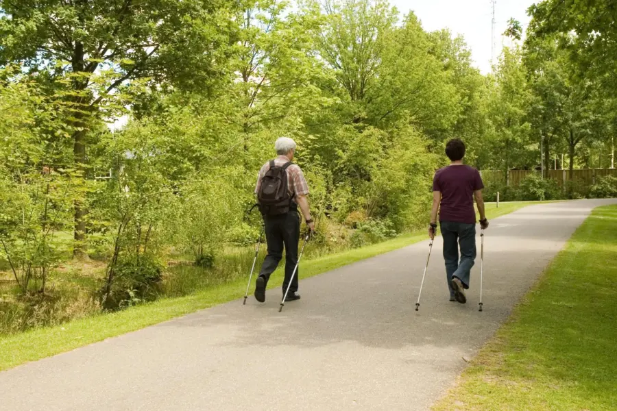 Nordic Walking De Ullingse Bergen