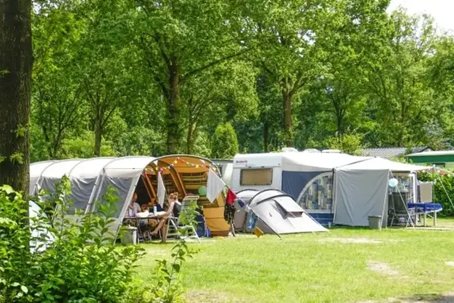 Dsc7351 20251125100803 JPG