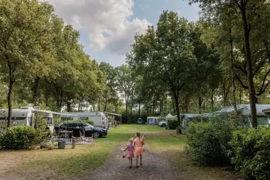 Rub9250806 1153lr 20251125114536 jpg