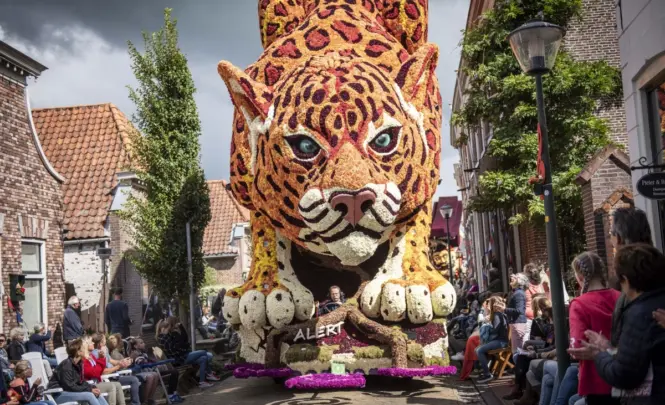 Corso vollenhove