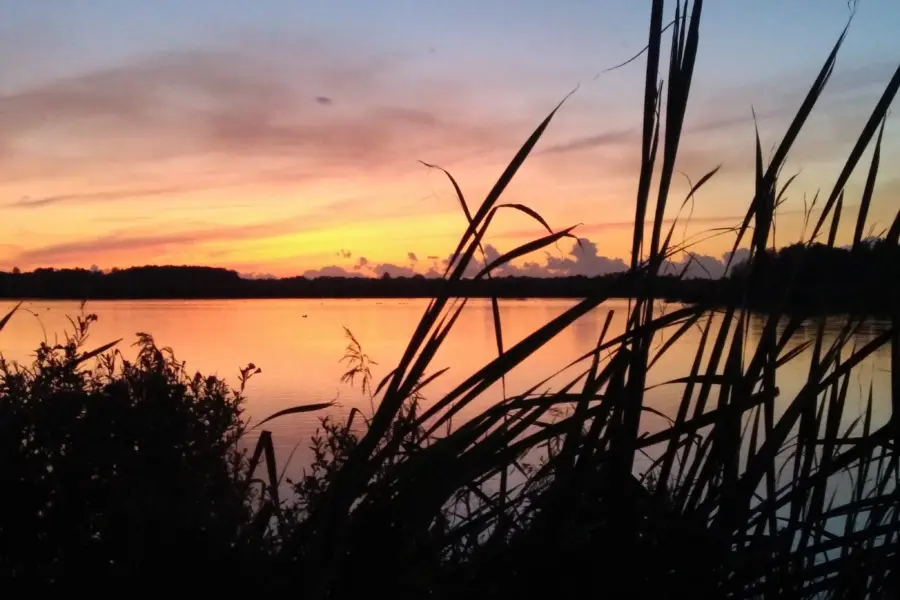 Leekstermeer vanuit Riet