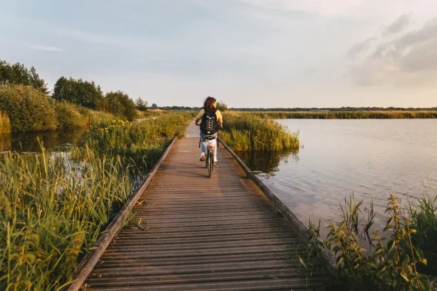 Kleine foto - onlanden