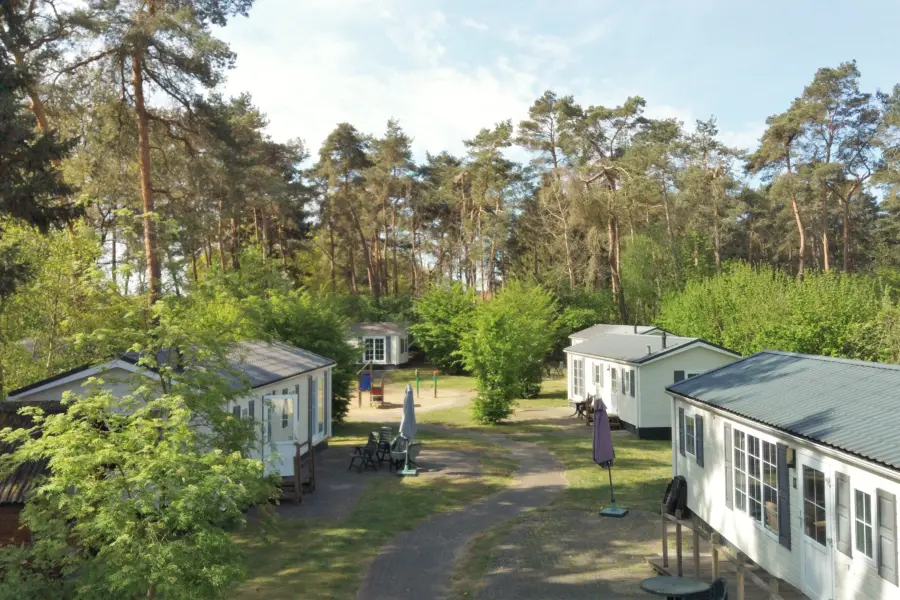 Chalets Camping Diana Heide in Drenthe
