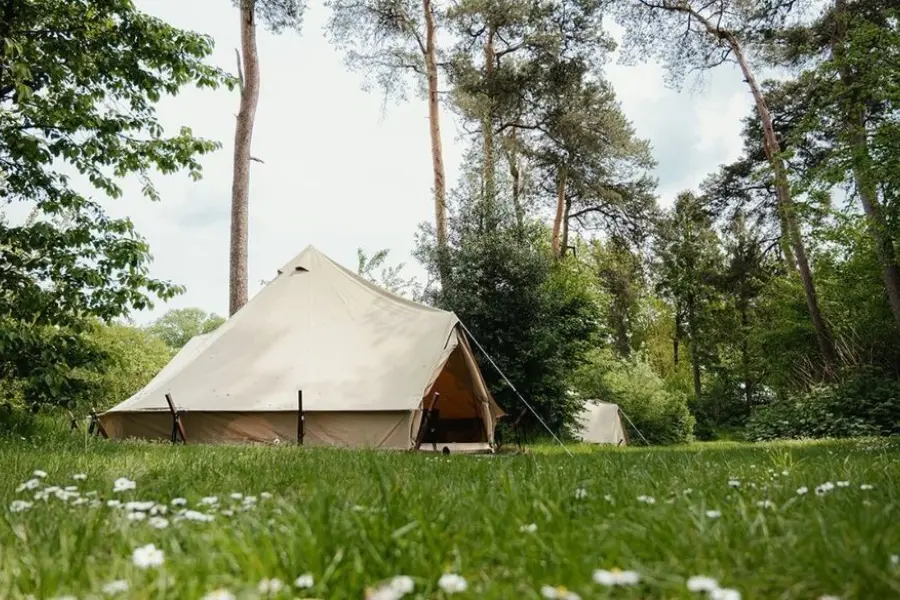 Tipi tent bos