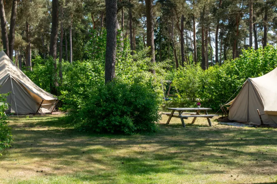 Tipitent huren Drenthe