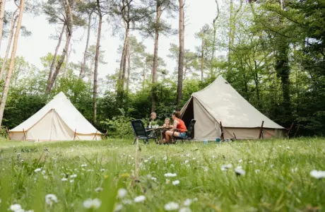 Tipitenten in het bos bij Diana Heide in Drenthe