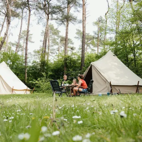 Tipitenten in het bos bij Diana Heide in Drenthe