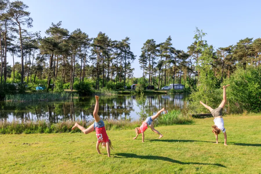 Kindercamping Drenthe - Camping Diana Heide