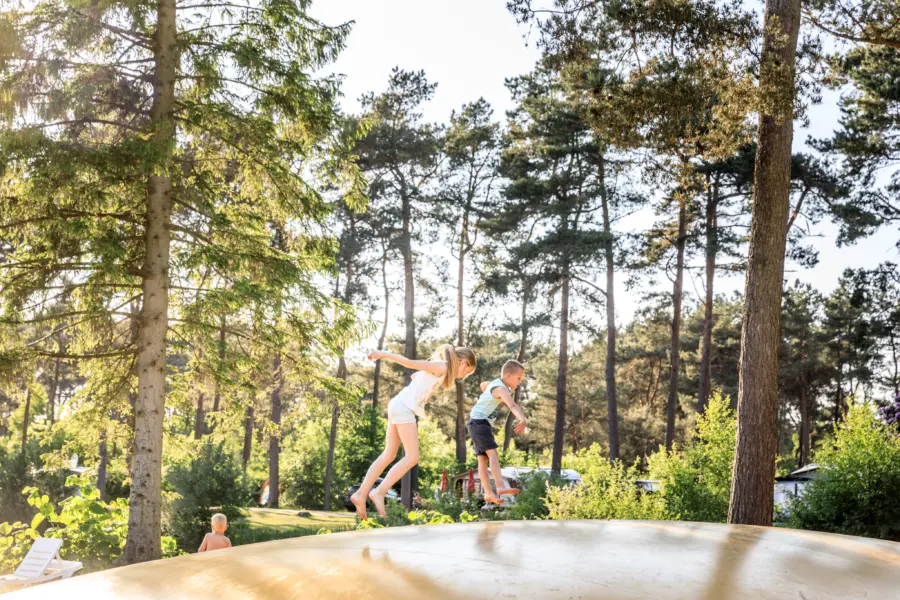 Airtrampoline op Camping Diana Heide in Drenthe