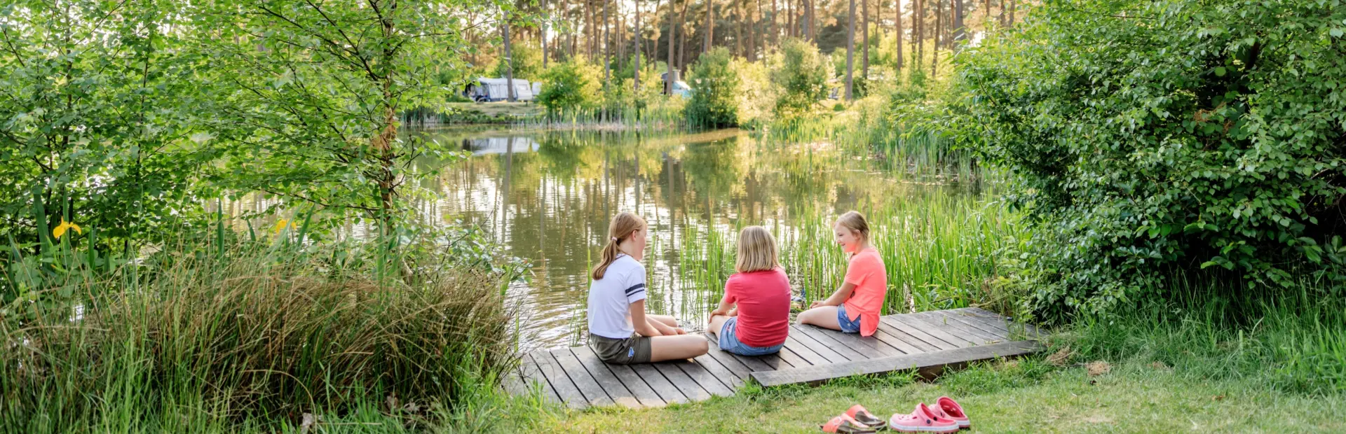 Visvijver Camping Diana Heide in Drenthe
