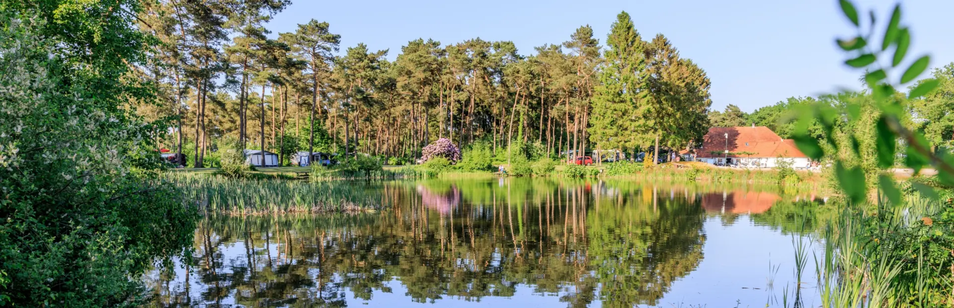 Diana Heide - Camping Drenthe - visvijver
