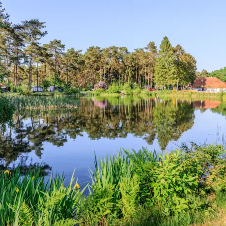 Diana Heide - Camping Drenthe - visvijver