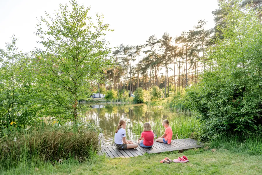 Visvijver Camping Diana Heide in Drenthe