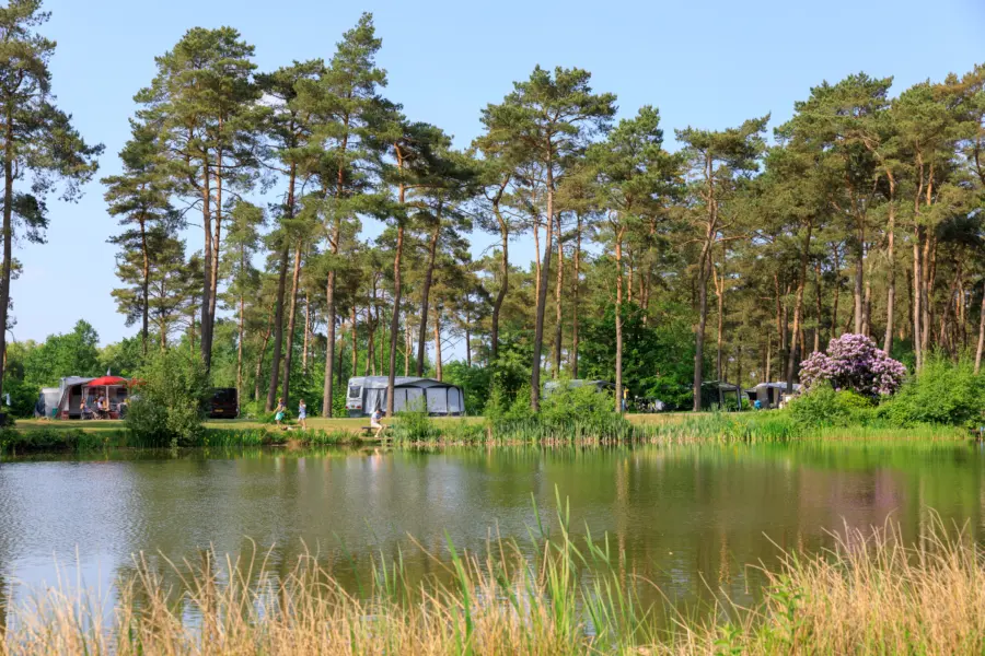 Caravans op kampeerplaatsen aan de visvijver van Ardoer Camping Diana Heide, omgeven door hoge bomen