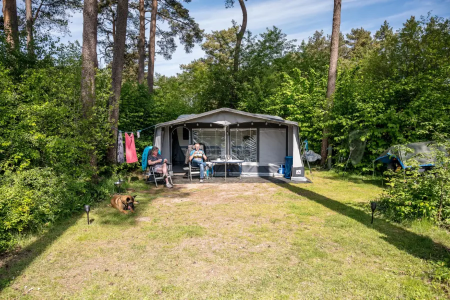 Camping met grote plaatsen - Comfortplaats XXL