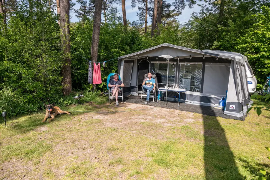 Comfortplaats XXL met hond - Camping Diana Heide in Drenthe