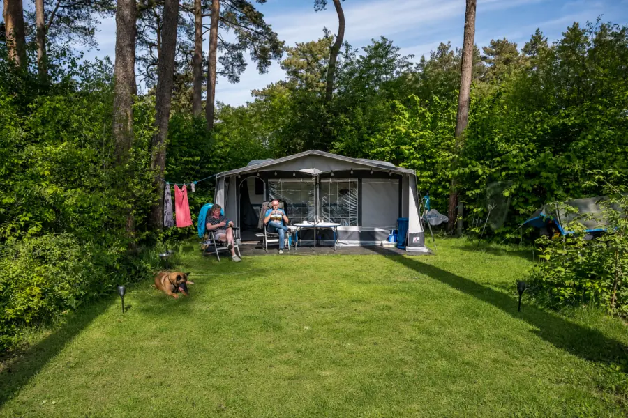 DH comfortplaats XXL AI