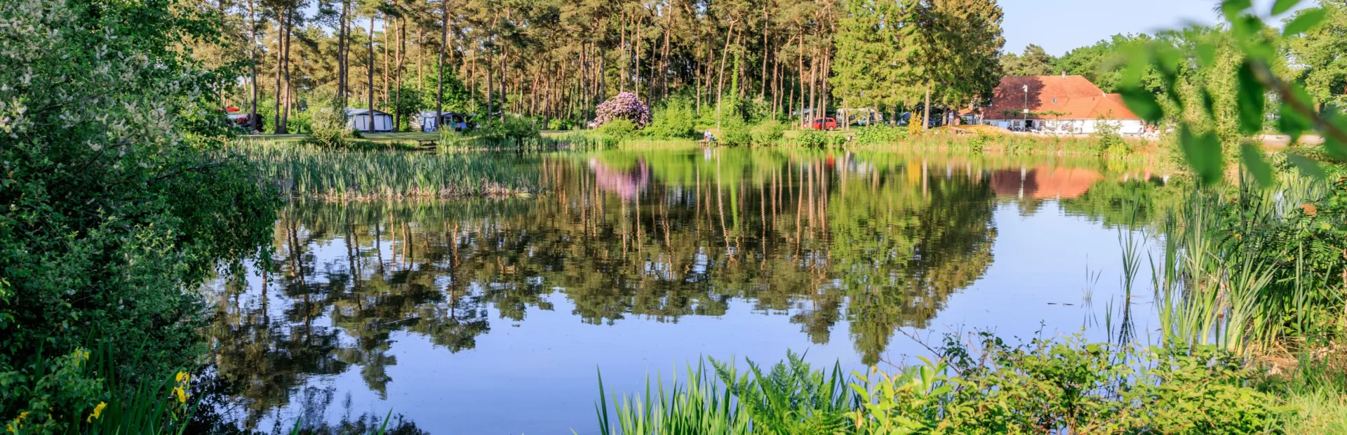 Kamperen Drenthe - Rust en ruimte