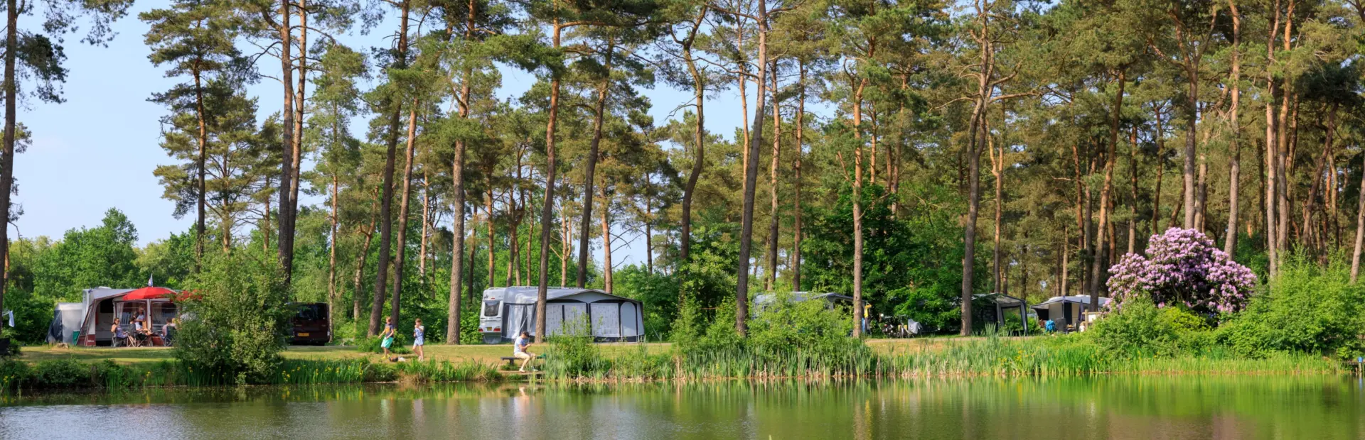 Diana Heide - Drenthe -camping Niederlanden- Natur