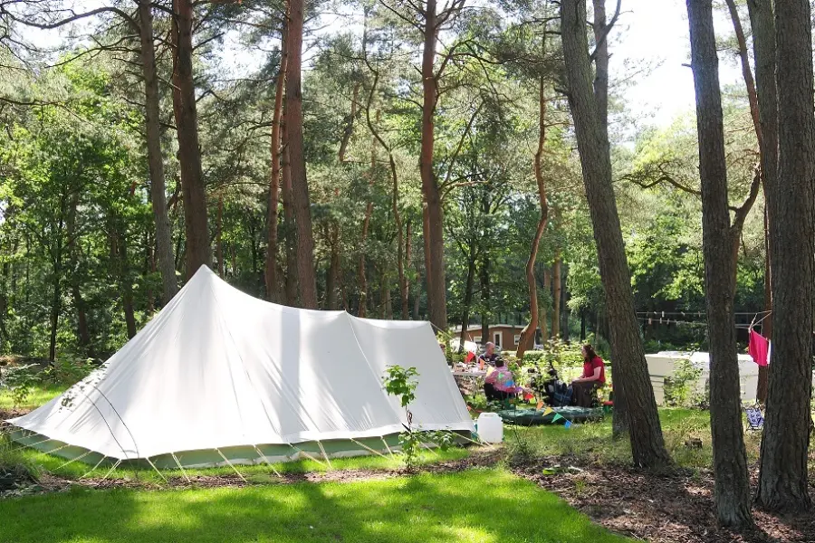 Camping 2 klein formaat