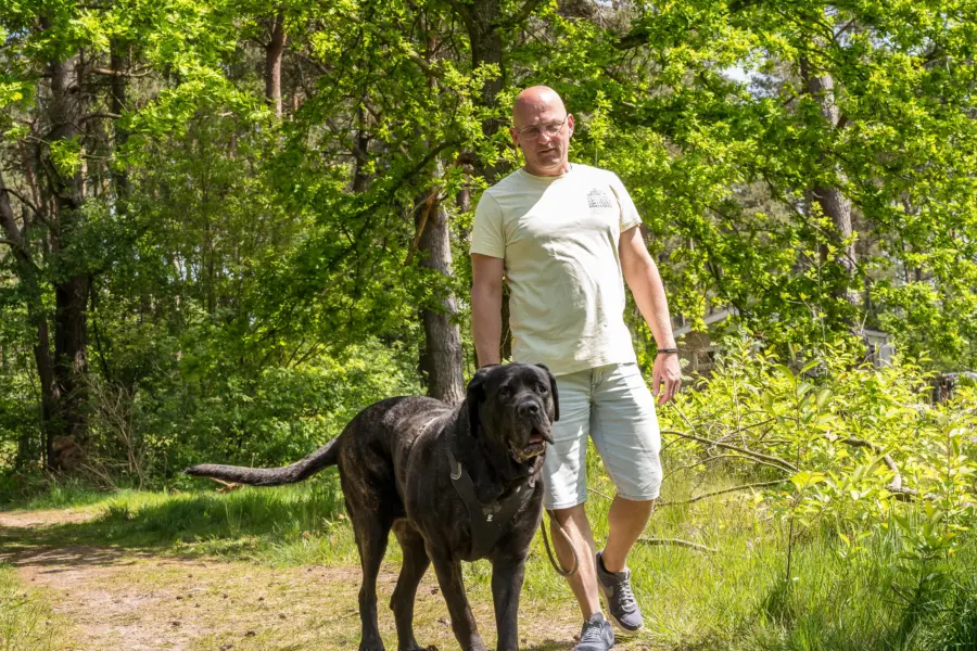 Honden camping Drenthe - Camping Diana Heide