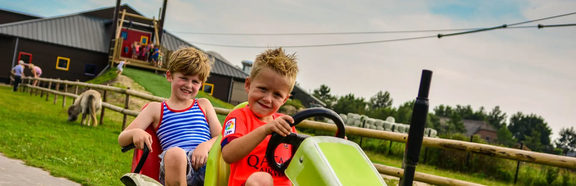 Drentse koe skelteren met kabelbaan op achtergrond