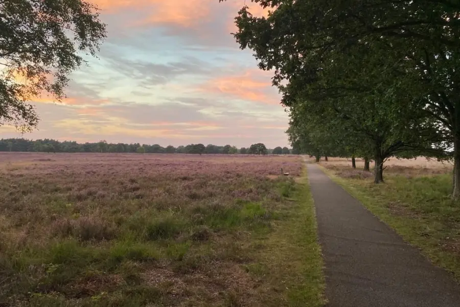 27458f66 06ae 4a8b a78f 23247555acbc