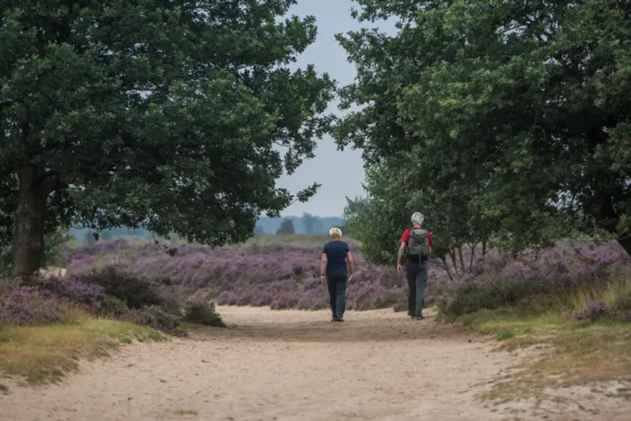 DH Omgeving wandelen gasten 1