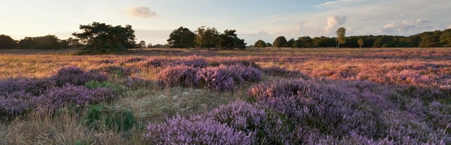 groote-zand-karla-leeftink