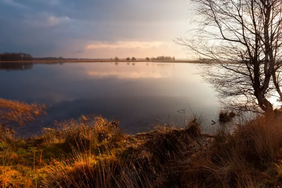 Dwingelderveld - omgeving van Camping Diana Heide
