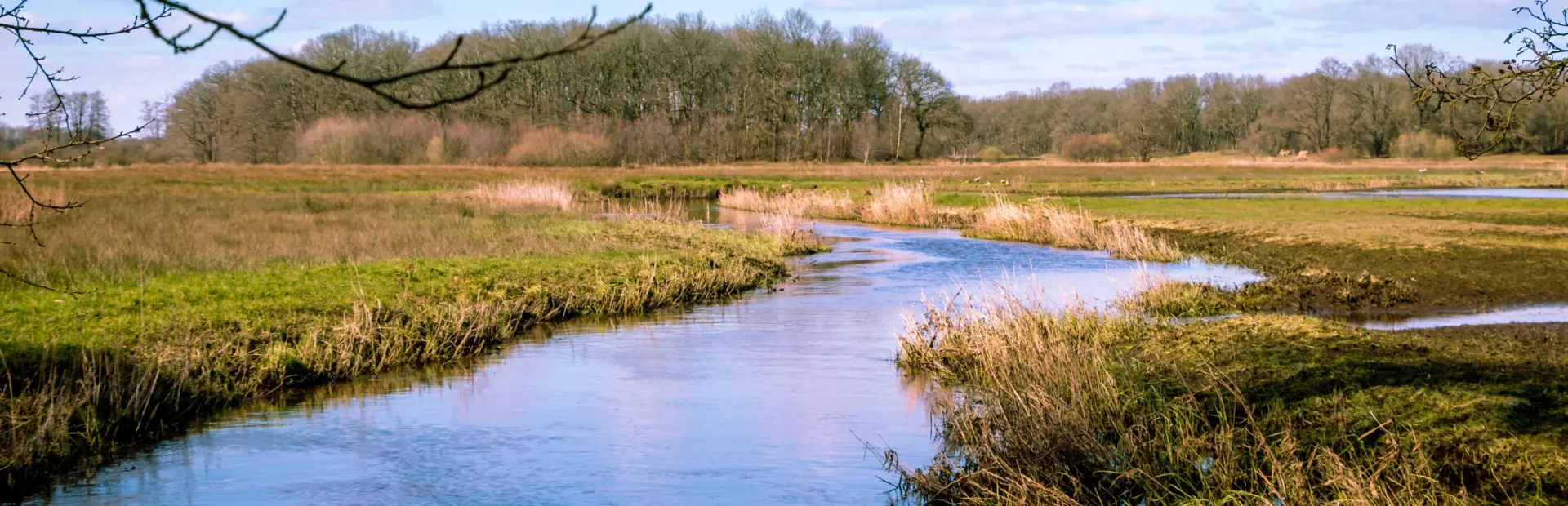 Camping vlak bij de Drentsche Aa - Nationaal Park Drentsche Aa