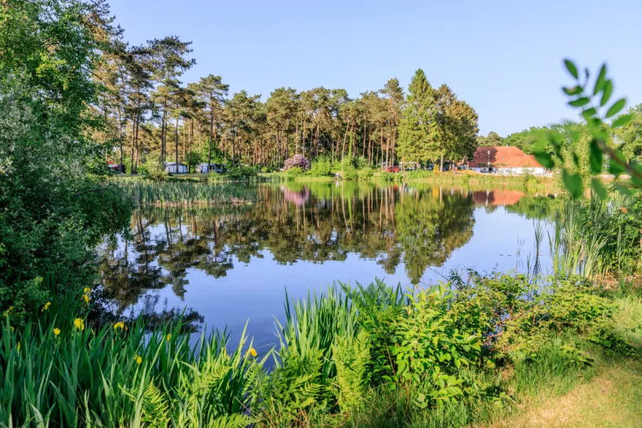 Camping vlak bij de Drentsche Aa - Park Diana Heide
