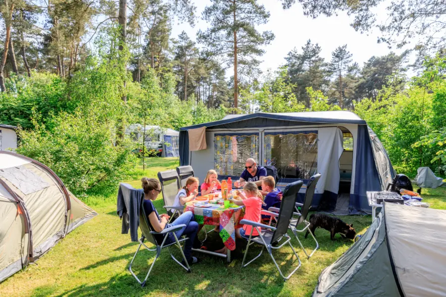 Camping vlak bij de Drentsche Aa - camping Diana Heide