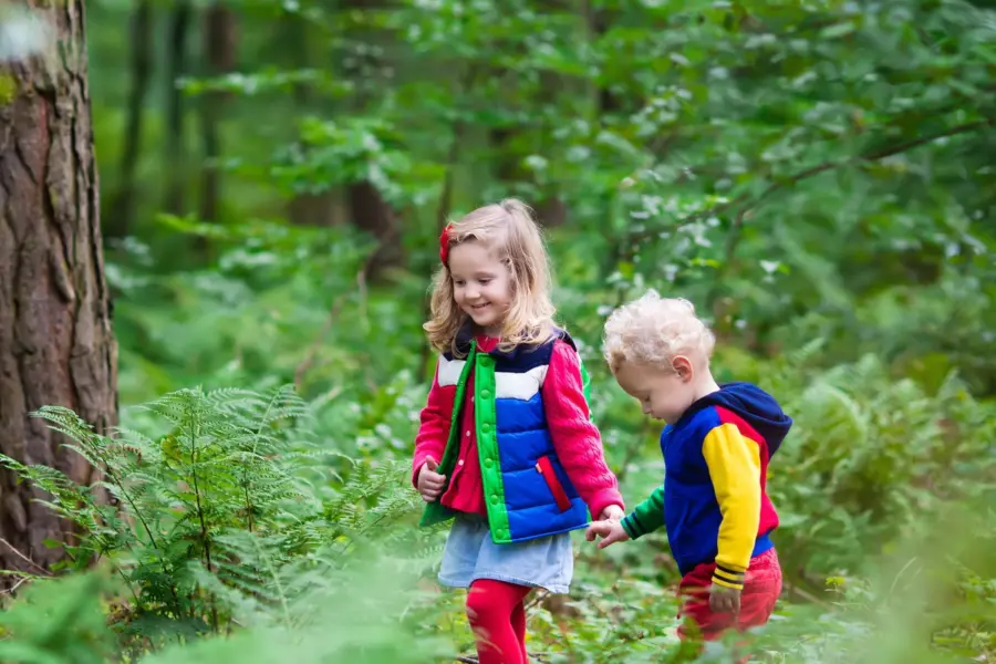 Diana heide header 2