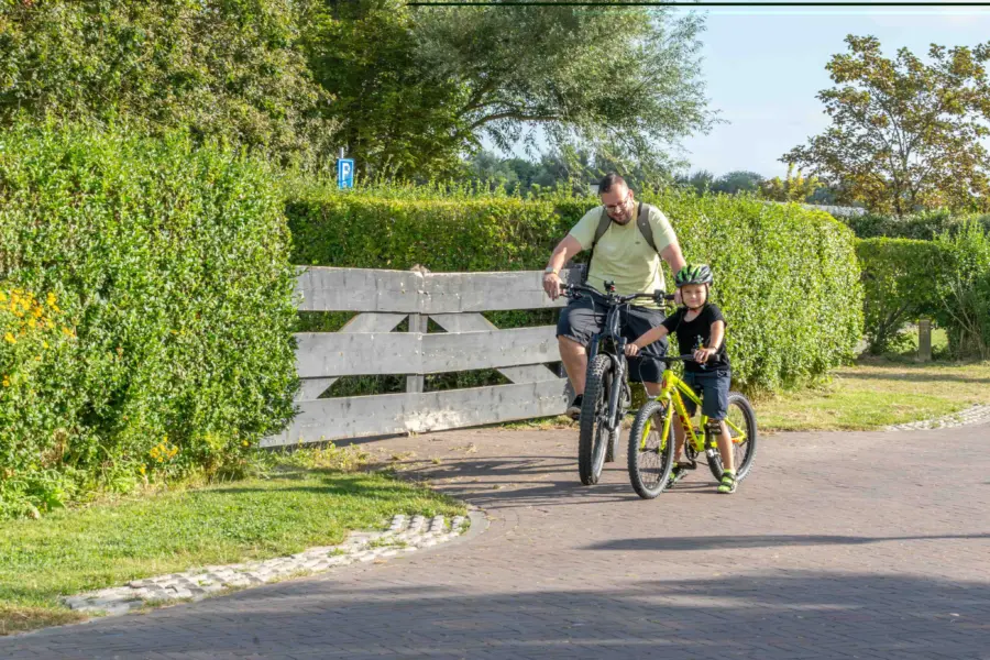 15 augustus 2024 camping duinoord 28klein 29 23