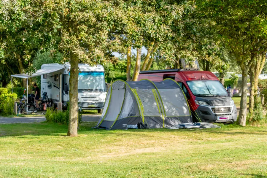 15 augustus 2024 camping duinoord 28klein 29 24