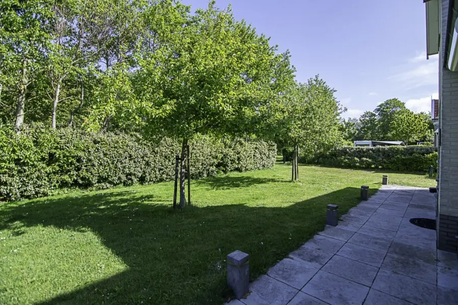 Fazant 2837 of 45 29